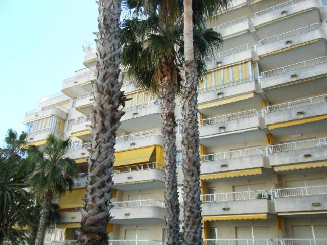 Apartamentos Marblau Varios 1, 2 Y 3 Dormitorios - Julio Y Agosto Solo Familias Playa de Gandia Ngoại thất bức ảnh
